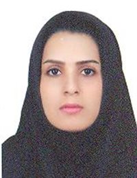 وکیل سمیه سالاری