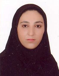 وکیل سمیه نقابی