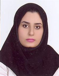 وکیل سهیلا طیبی