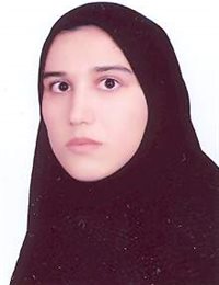 وکیل طیبه سلمانی نژاد مهرآبادی