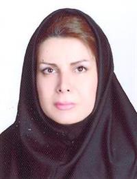 وکیل مهناز ماله میرچگینی