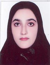 وکیل پری شکری