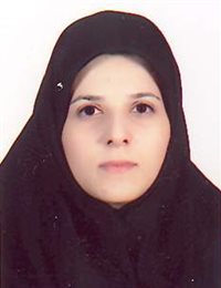 وکیل اکرم السادات حسینی