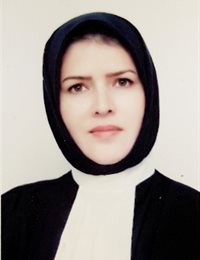 وکیل معصومه ابراهیمی
