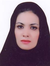 وکیل اکرم تورانی