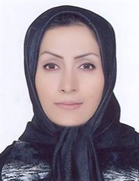 وکیل مینا ابراهیمی