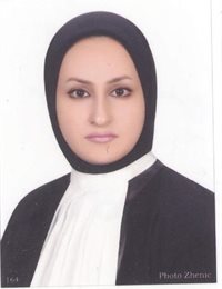 وکیل مینا برومند وکیلی