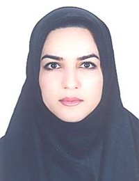 وکیل نسیبه باولی بهمنی