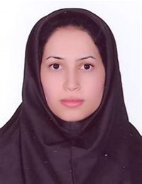 وکیل بی بی مریم بیگم نبوی