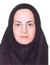 وکیل پریسا محمدی