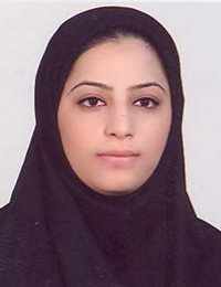 وکیل مینا افتخاری