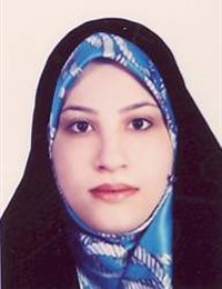 وکیل اوازه هروی