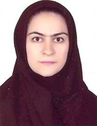 وکیل مینا زارع زاده مهریزی
