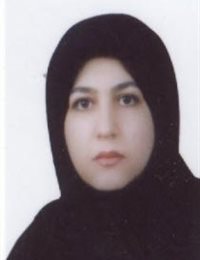 وکیل اکرم ذکری دارابی