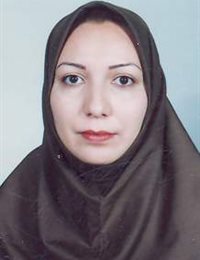 وکیل لادن متحدین