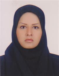وکیل شیوا عبدالحسینی