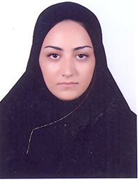 وکیل مهرآسا مهربان