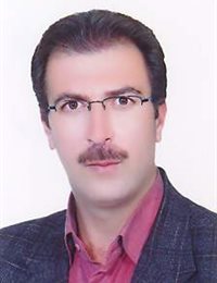 وکیل نادر روحی