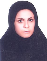 وکیل سرور محامدی