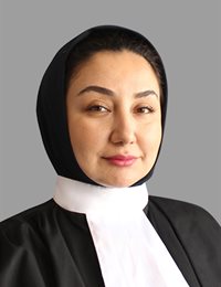 وکیل رویا حمیدی