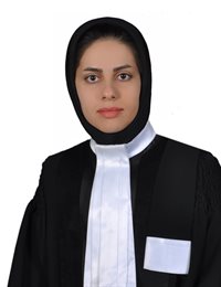 وکیل مینا بلوری فر