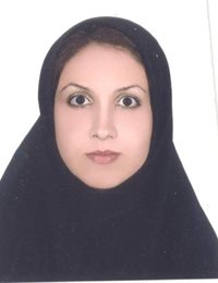 وکیل مقدس زالی پور