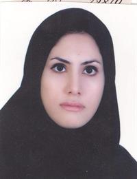 وکیل مینا عبداله زاده