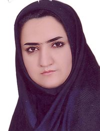 وکیل سمیه برزنونی