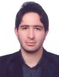 وکیل هادی زادیونس