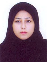 وکیل نگار شمالی 