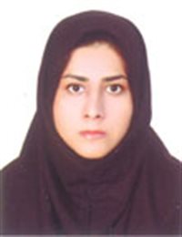 وکیل حمیده سلطان خواه