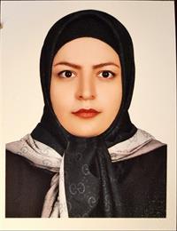 وکیل مهسا محمدی