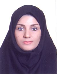 وکیل مینا مبارکی