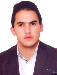 وکیل مرتضی محمدی