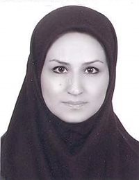 وکیل سیده سرور سیدصدری