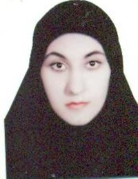 وکیل افروز گل کارنارنجی
