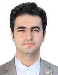 وکیل محمد گودرزی