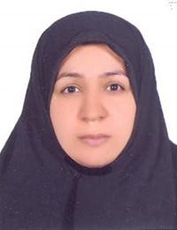 وکیل لیلا موسوی