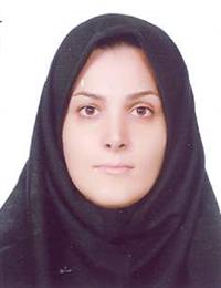 وکیل راحله امیری
