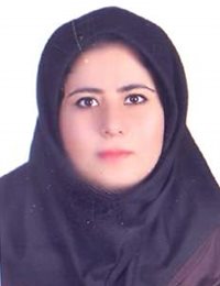 وکیل ریحانه فولاد لو