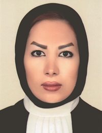 وکیل مهسا باقری