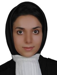 وکیل نگین میرزای فشمی