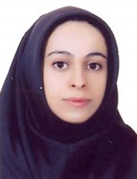 وکیل سیده مهسا موسوی