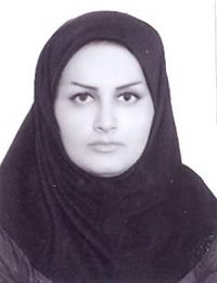 وکیل مینا عاملی