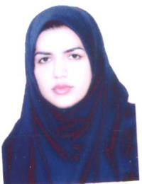 وکیل سارا نوائی