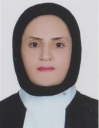 وکیل اعظم حسن زاده