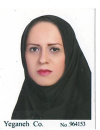 وکیل منصوره دلیلی