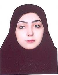 وکیل مرجان صفری عراقی