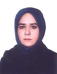 وکیل حمیده عباس پور