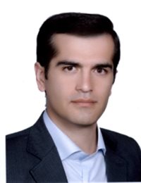 وکیل سیدامیر حکامیان